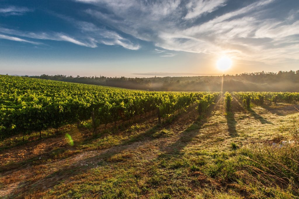 gite occitanie gard